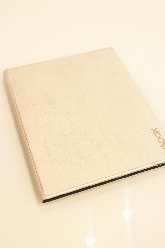 E reader boox go color 7