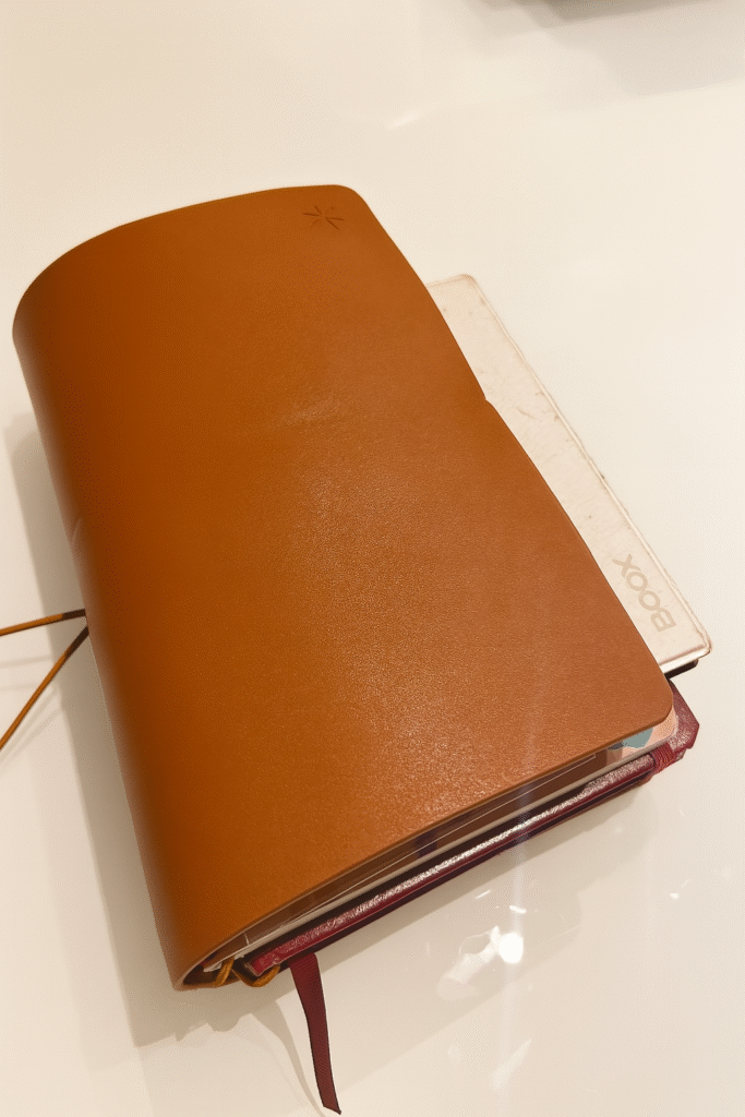 E reader boox go color 7
