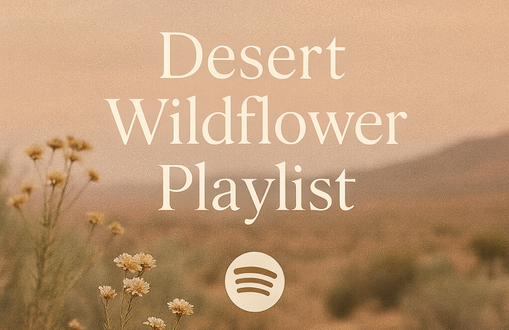 Desert Wildflower Playlist