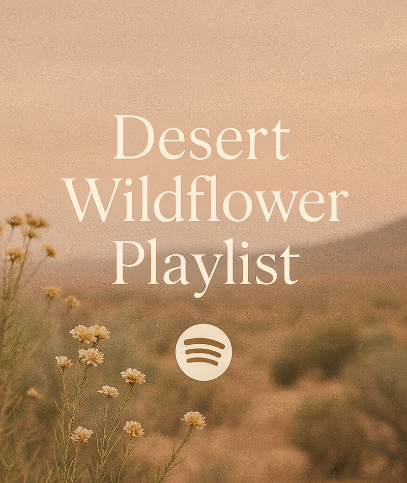 Desert Wildflower Playlist