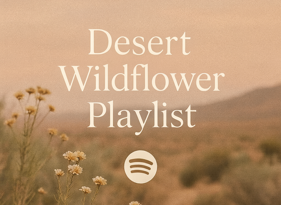 Desert Wildflower Playlist