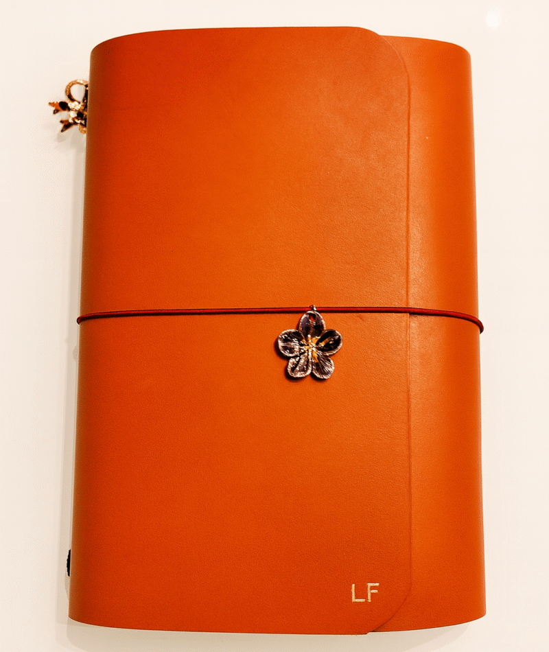 Louise Carmen leather journal alternative