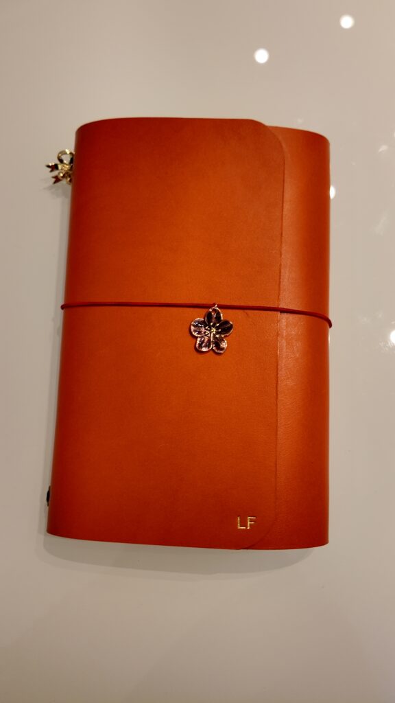 Louise Carmen leather journal alternative 7