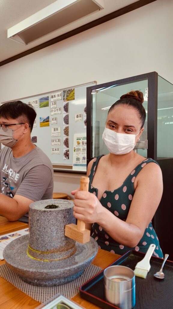 guia completo do matcha