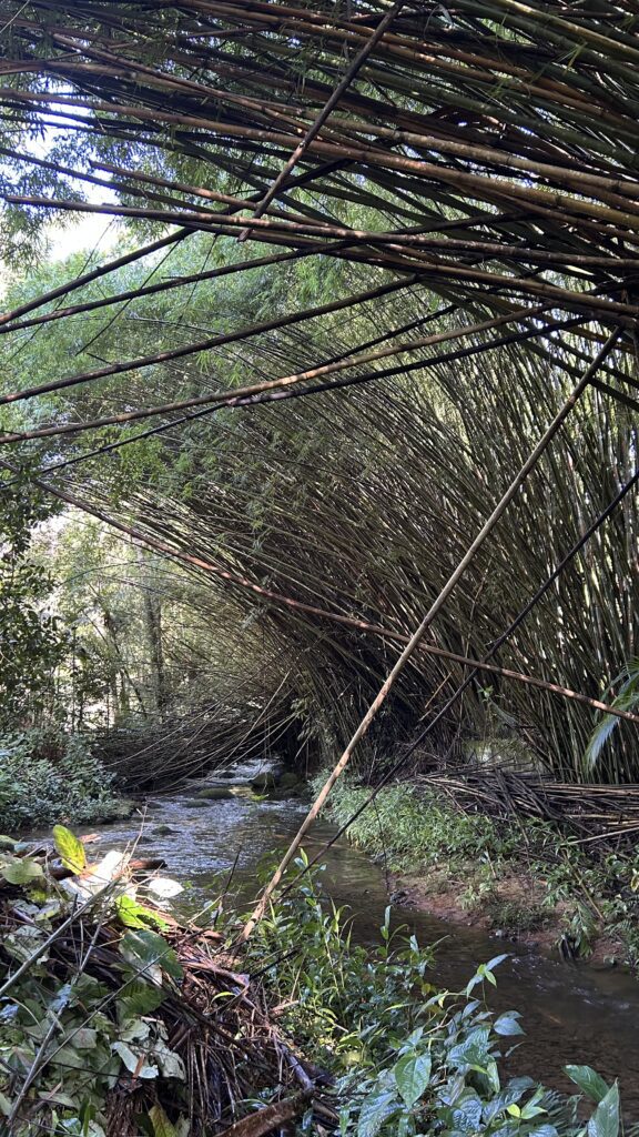 São Francisco Xavier outono inverno