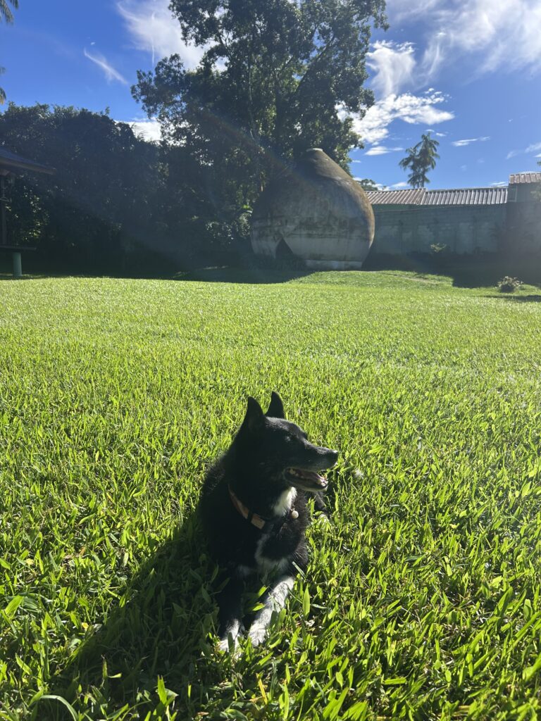 São Francisco Xavier outono inverno