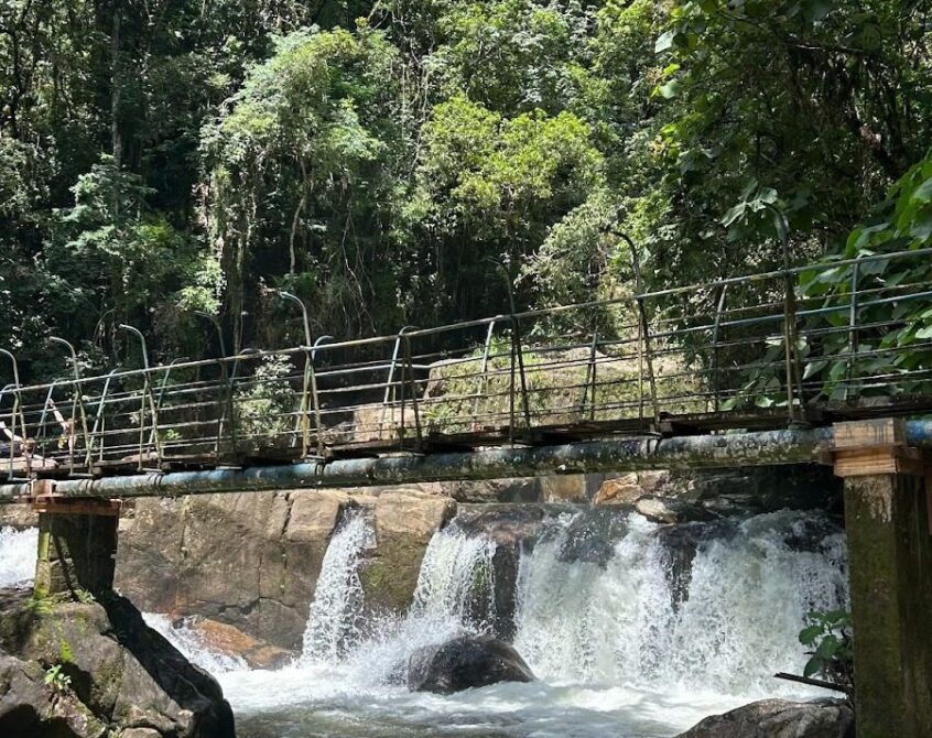 São Francisco Xavier outono inverno
