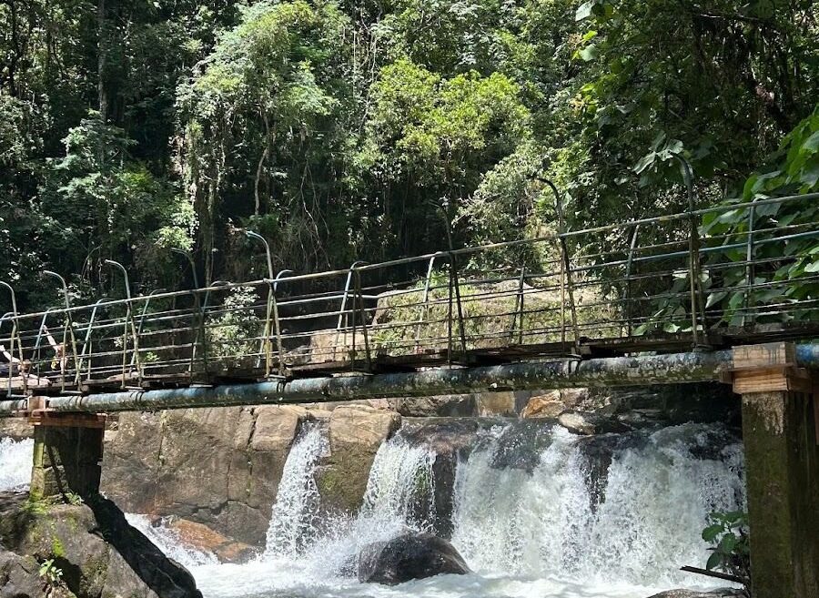 São Francisco Xavier outono inverno